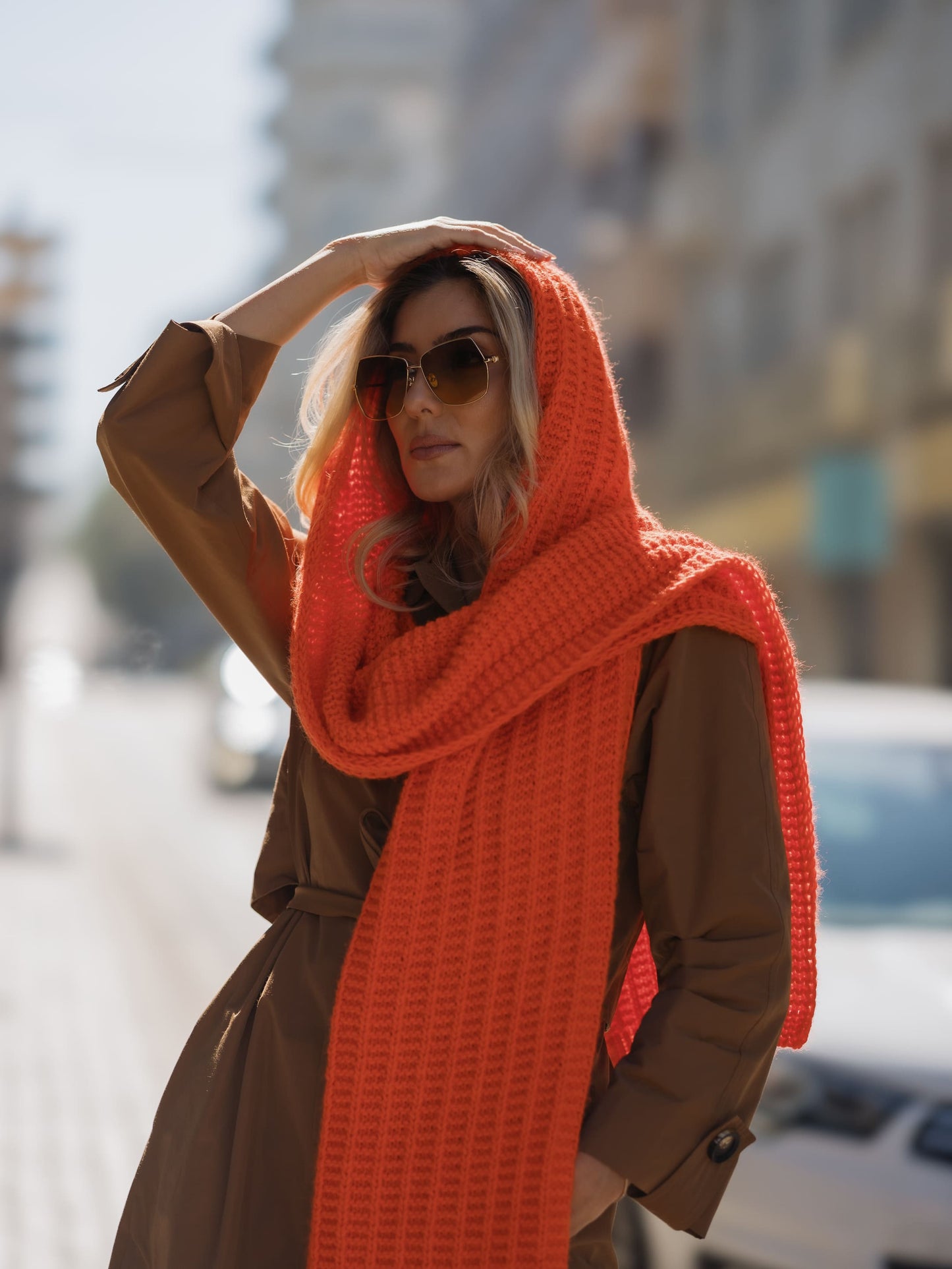SWALLOW KNITTED HOODED SCARF